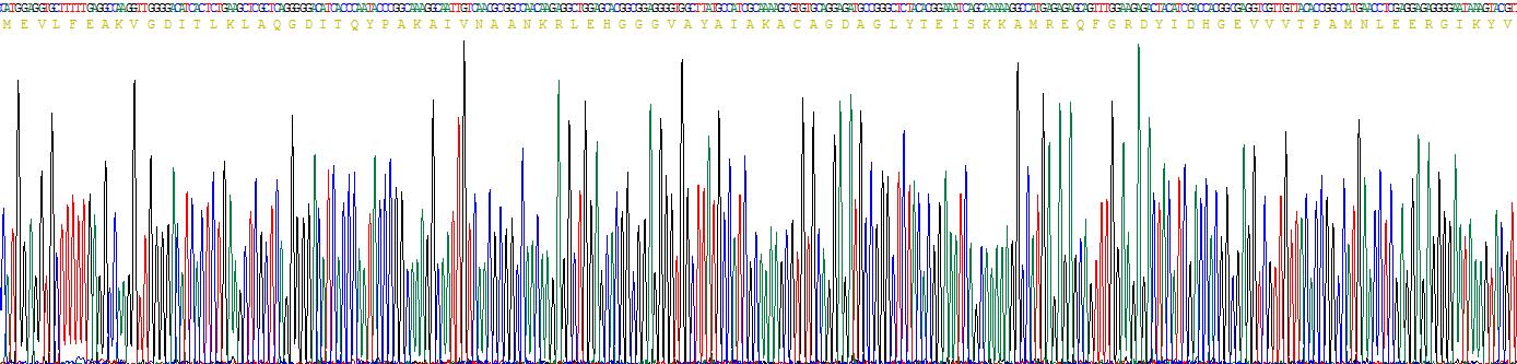 Figure . Gene Sequencing (Extract)