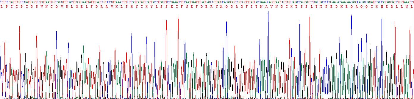 Figure . Gene Sequencing (Extract)
