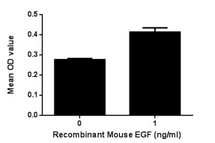 Figure. Cell proliferation of 3T3 cells after stimulated with EGF.