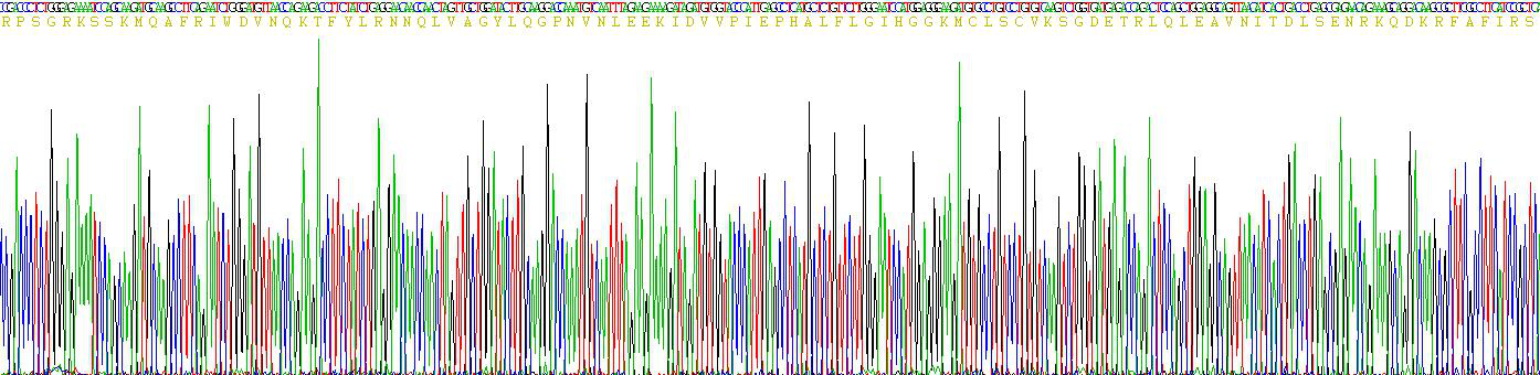 Figure . Gene Sequencing (Extract)