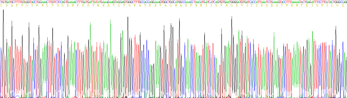 Figure . Gene Sequencing (Extract)