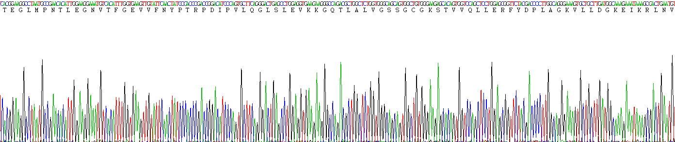 Figure . Gene Sequencing (Extract)