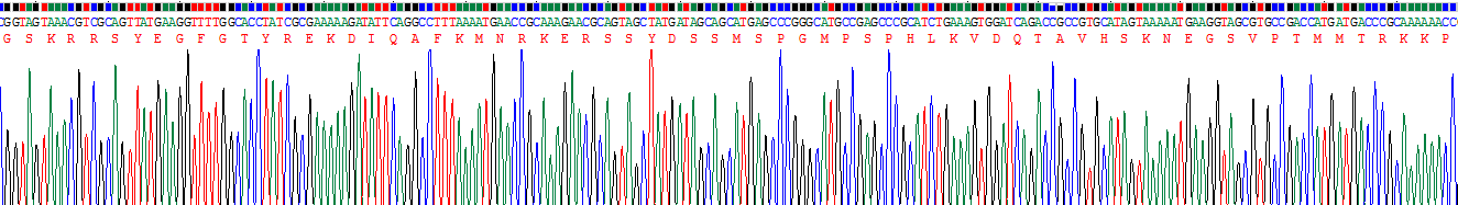 Figure . Gene Sequencing (Extract)