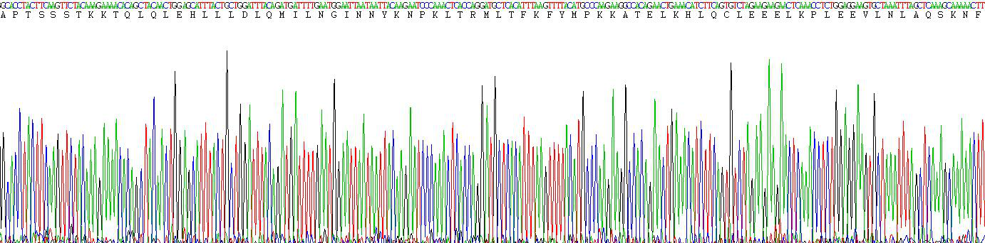Figure . Gene Sequencing (Extract)