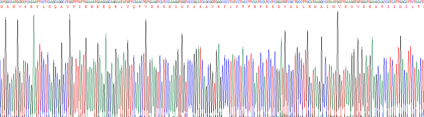 Figure . Gene Sequencing (Extract)