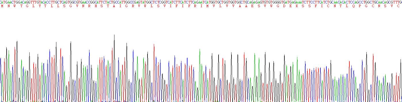 Figure . Gene Sequencing (Extract)