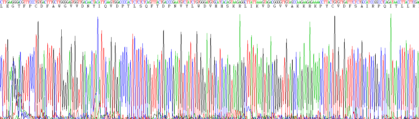 Figure . Gene Sequencing (Extract)