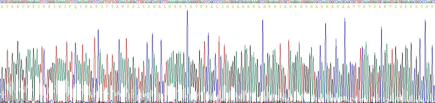 Figure . Gene Sequencing (Extract)