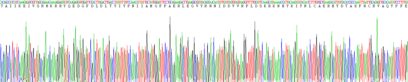 Figure . Gene Sequencing (Extract)