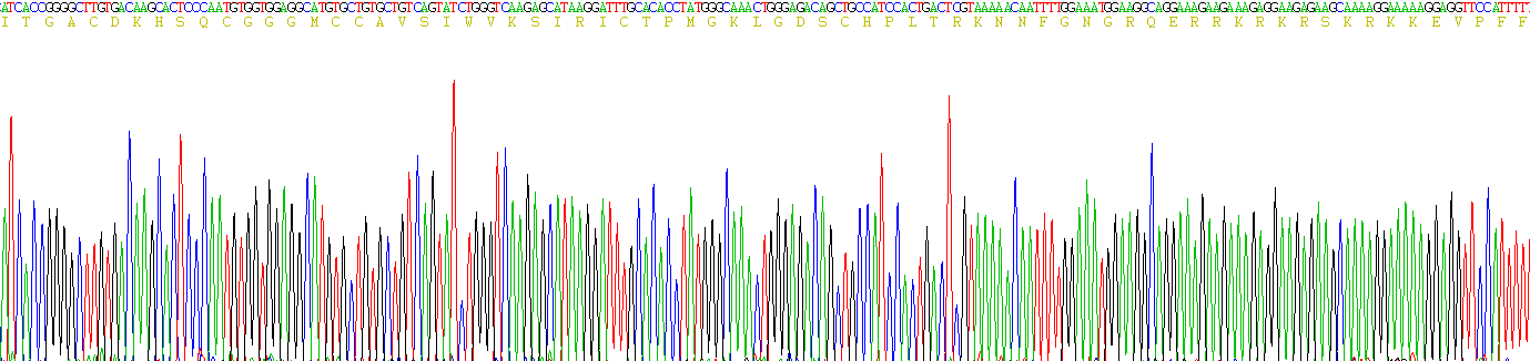 Figure . Gene Sequencing (Extract)