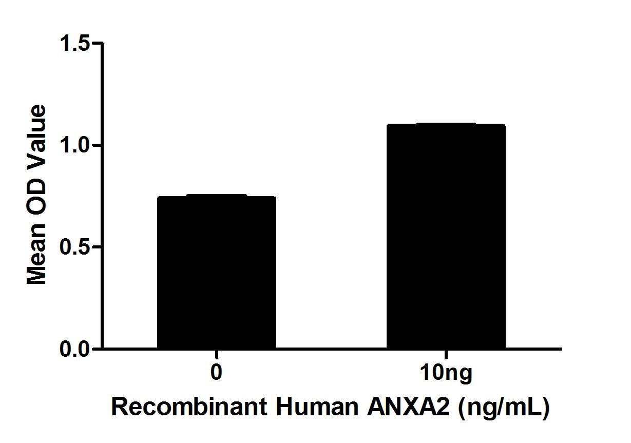 Figure. Cell proliferation of Hela cells after stimulated with ANXA2.