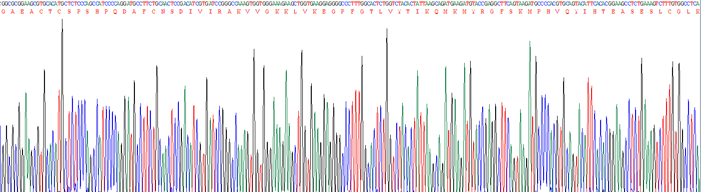 Figure . Gene Sequencing (Extract)