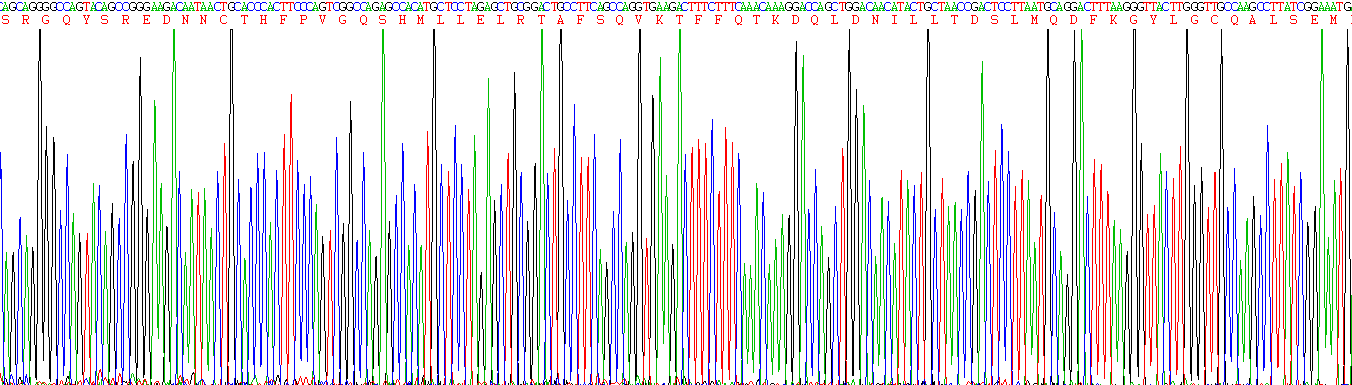 Figure . Gene Sequencing (Extract)
