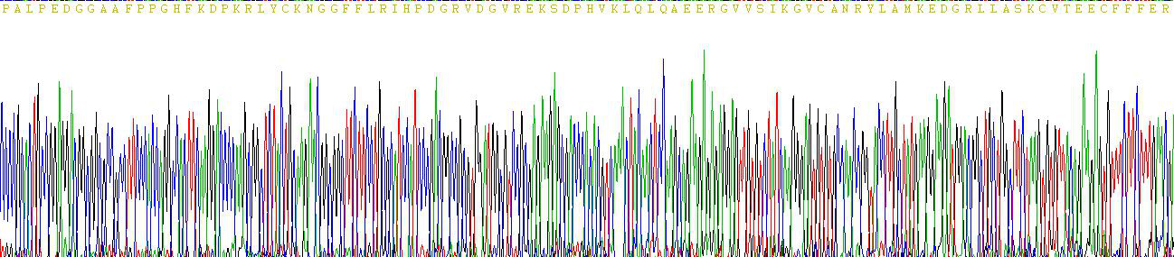 Figure . Gene Sequencing (Extract)