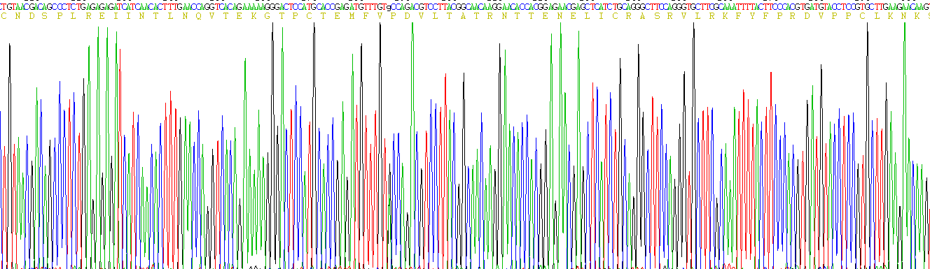 Figure . Gene Sequencing (Extract)