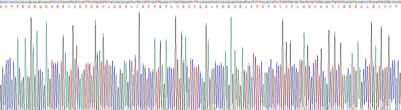 Figure . Gene Sequencing (Extract)