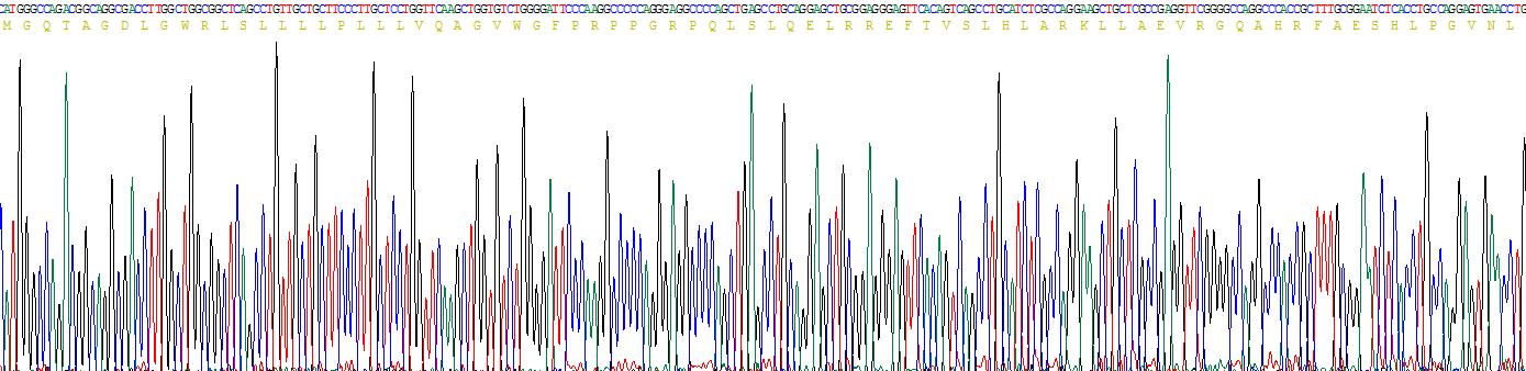 Figure . Gene Sequencing (Extract)