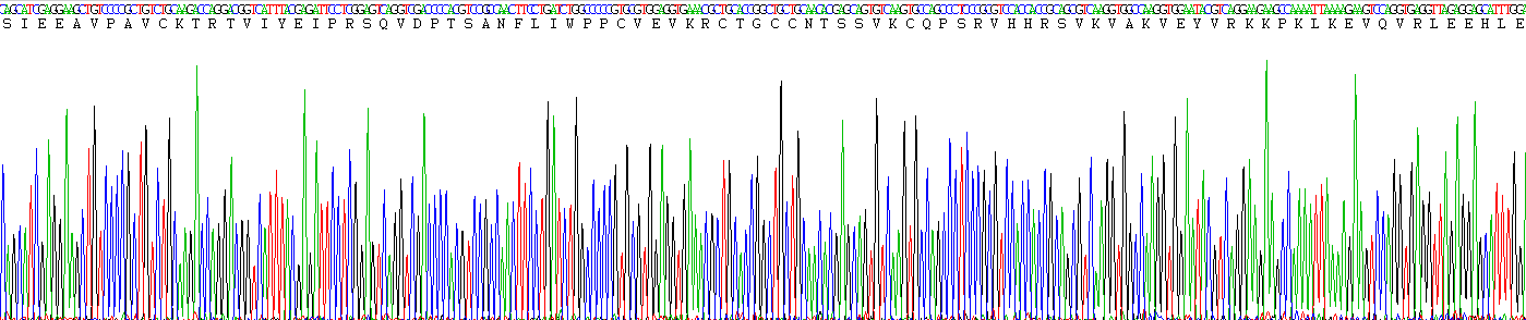 Figure . Gene Sequencing (Extract)