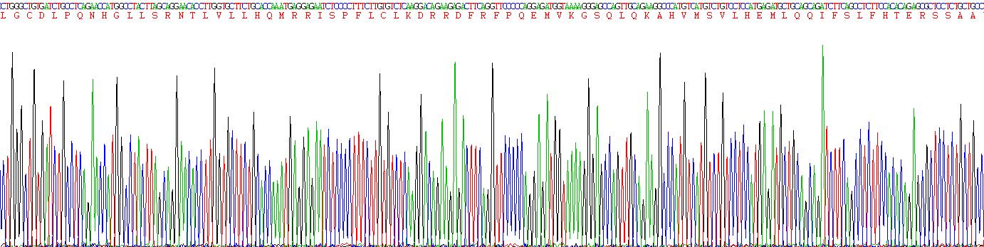 Figure . Gene Sequencing (Extract)
