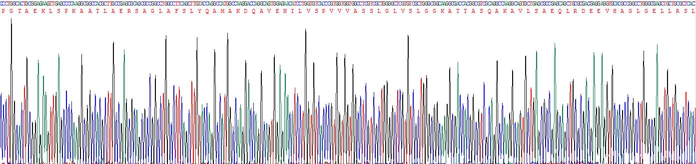 Figure . Gene Sequencing (Extract)
