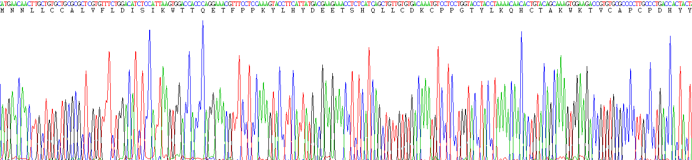 Figure . Gene Sequencing (Extract)