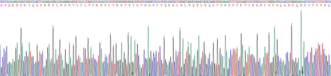 Figure . Gene Sequencing (Extract)