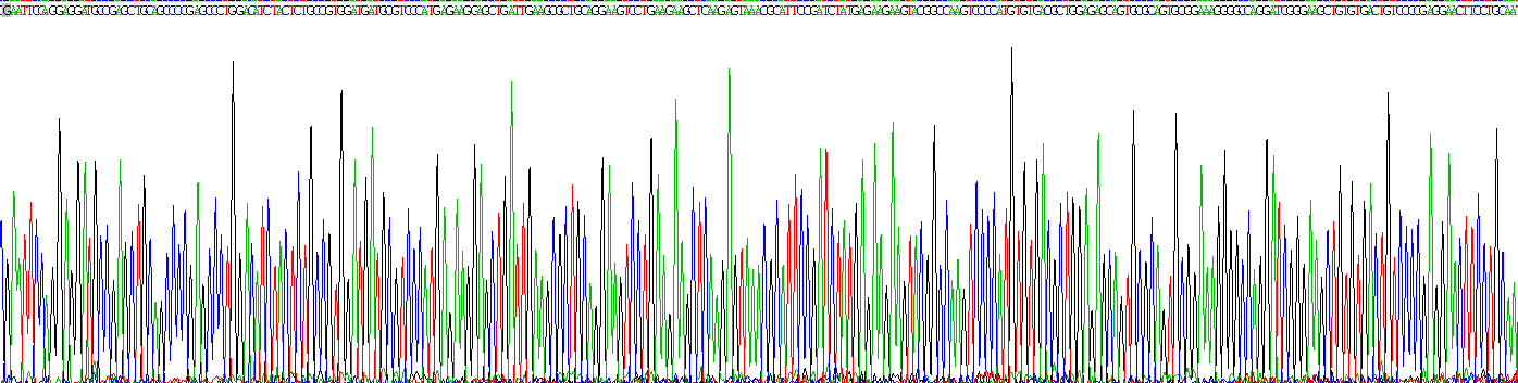 Figure . Gene Sequencing (extract)