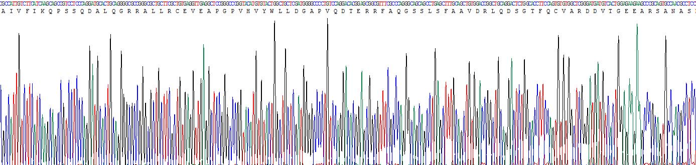 Figure . Gene Sequencing (Extract)