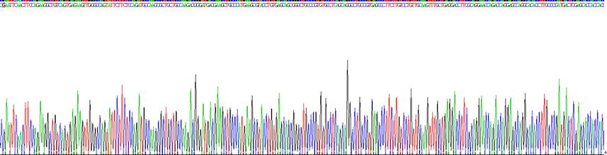 Gene Sequencing (extract)