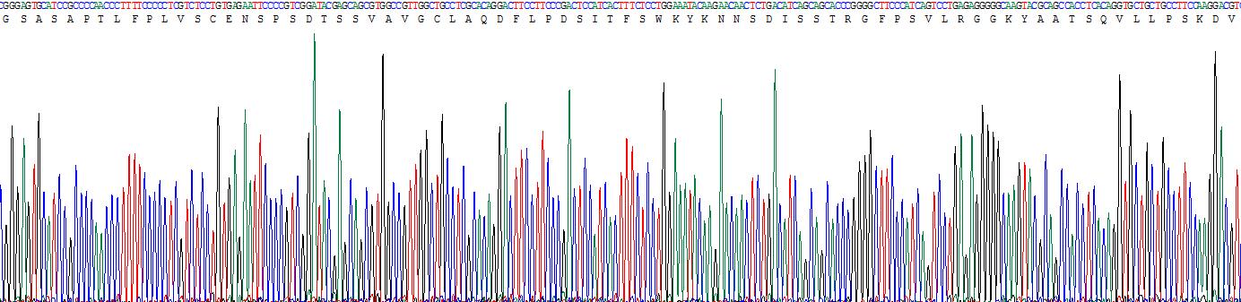 Figure . Gene Sequencing (Extract)