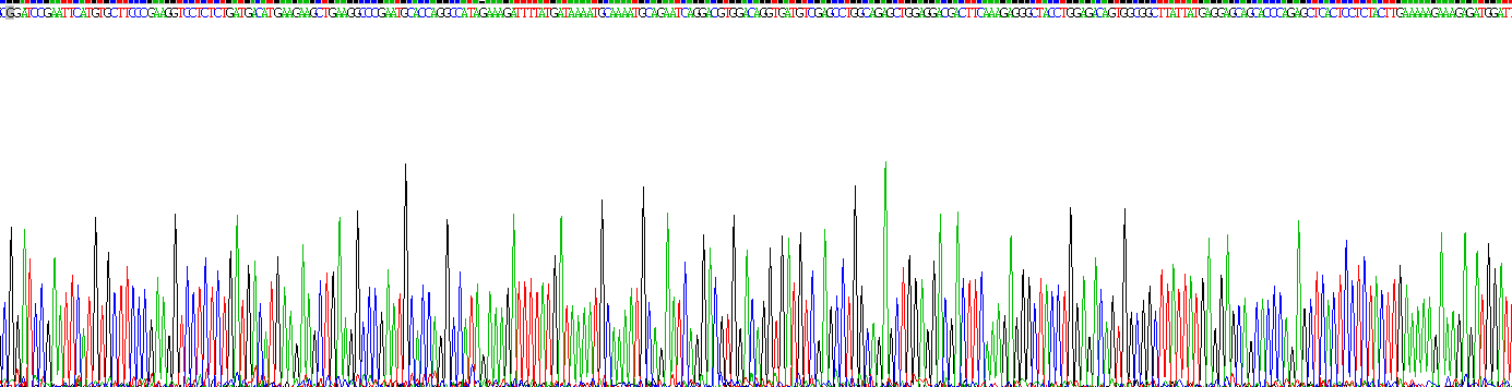 Figure . Gene Sequencing (extract)