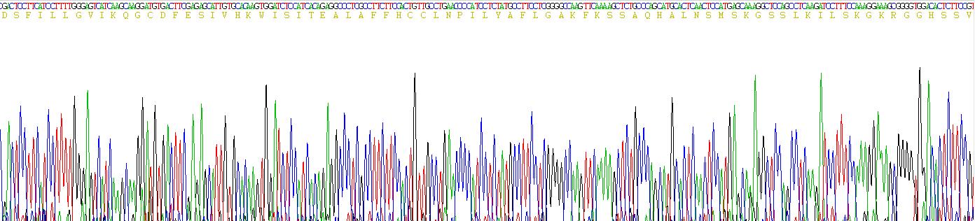 Figure . Gene Sequencing (Extract)