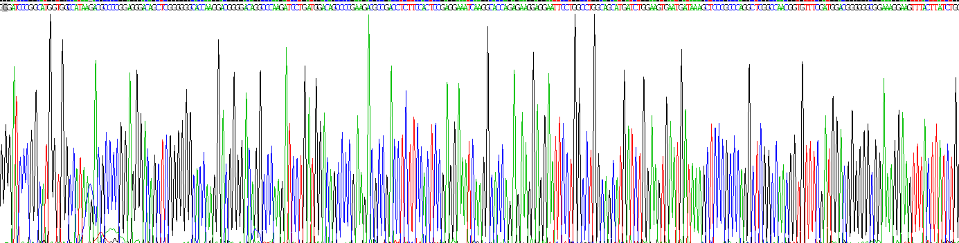 Figure . Gene Sequencing (extract)