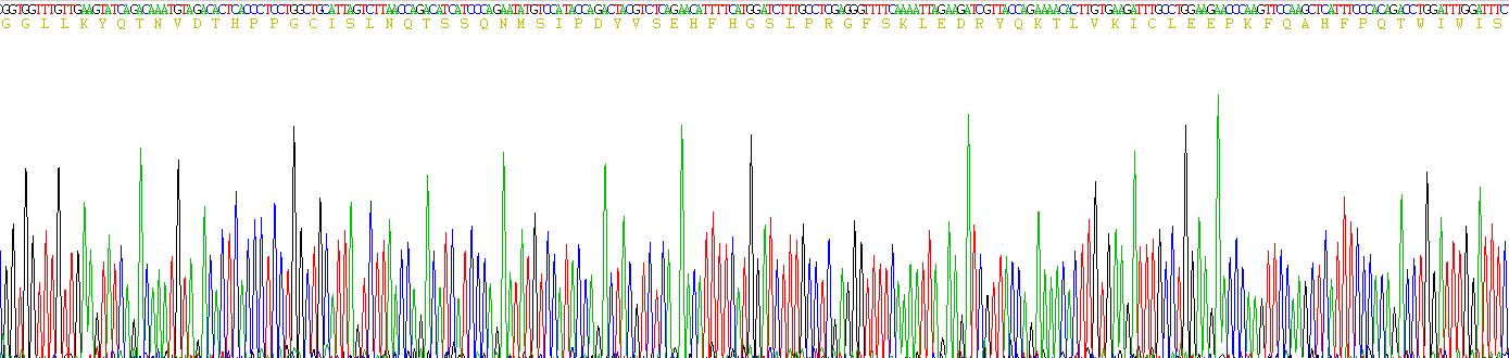 Figure . Gene Sequencing (Extract)