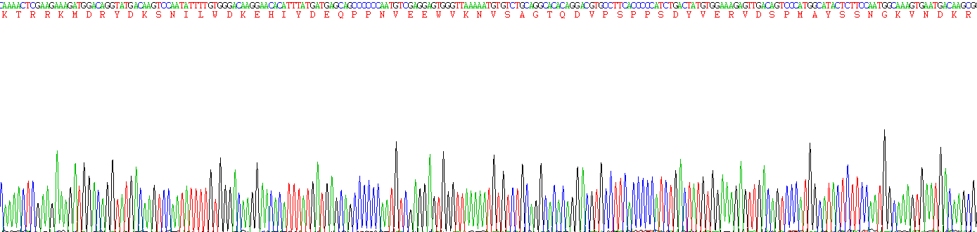 Figure . Gene Sequencing (Extract)
