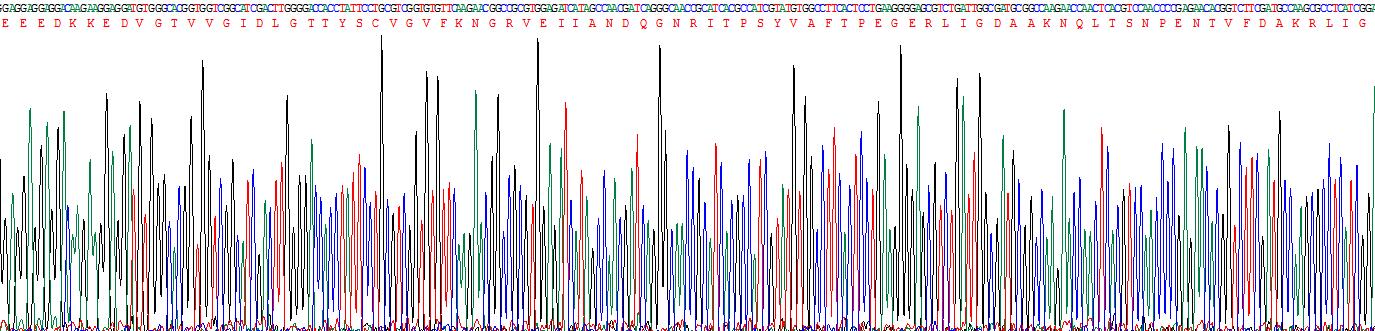 Figure . Gene Sequencing (Extract)