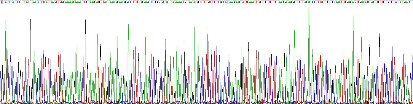 Figure . Gene Sequencing (extract)