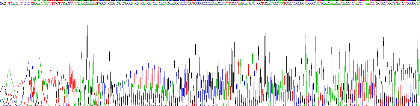 Figure . Gene Sequencing (extract)