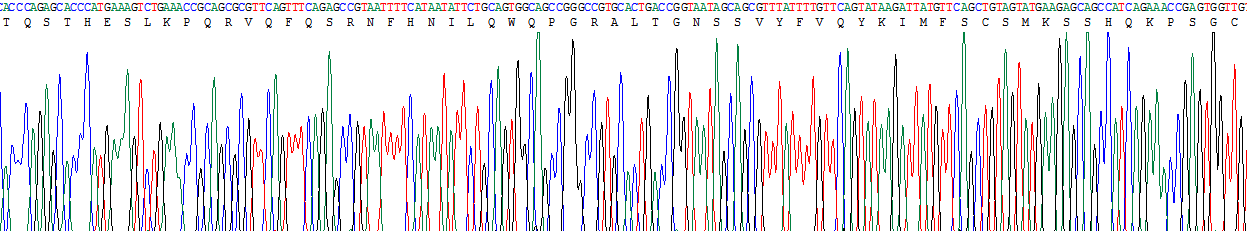 Figure . Gene Sequencing (Extract)