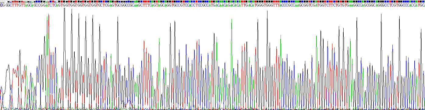 Figure . Gene Sequencing (Extract)