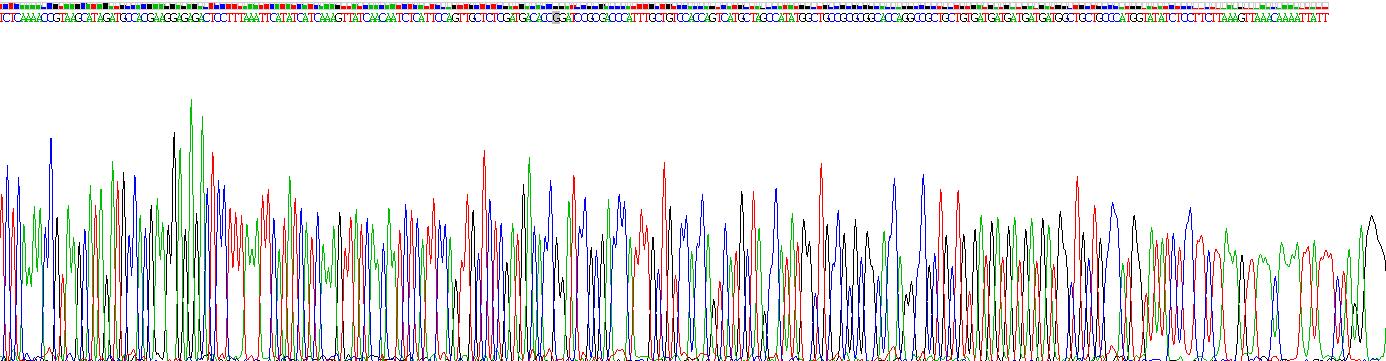 Figure . Gene Sequencing (extract)