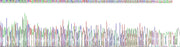 Figure . Gene Sequencing (extract)