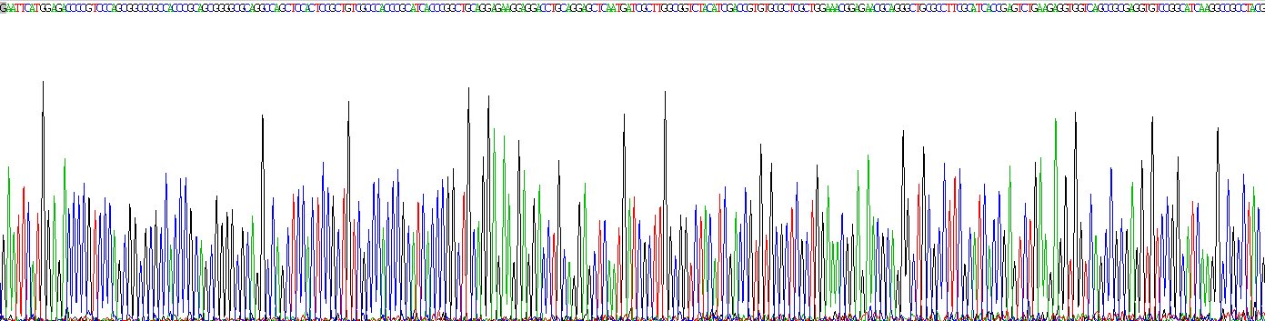 Figure . Gene Sequencing (extract)