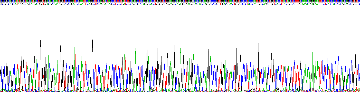 Figure . Gene Sequencing (extract)