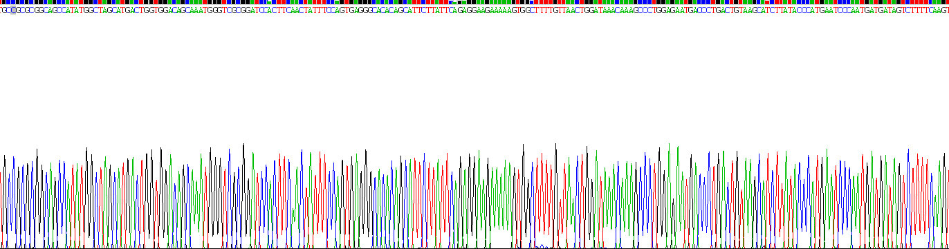 Figure . Gene Sequencing (extract)