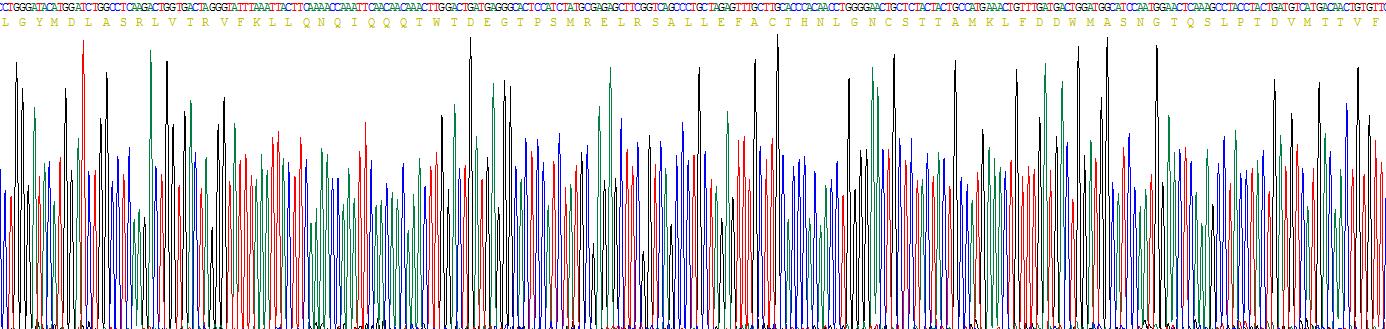 Figure . Gene Sequencing (Extract)