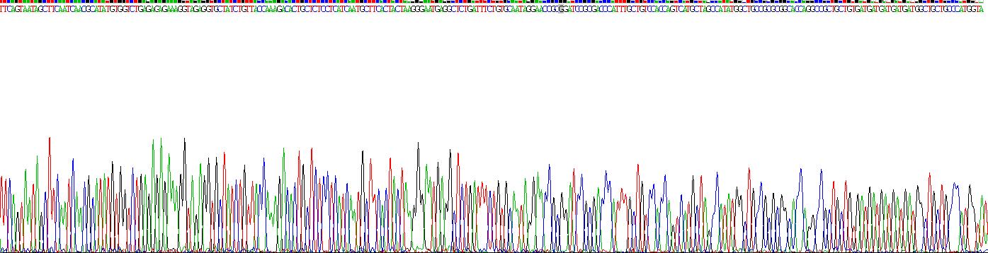 Figure . Gene Sequencing (extract)