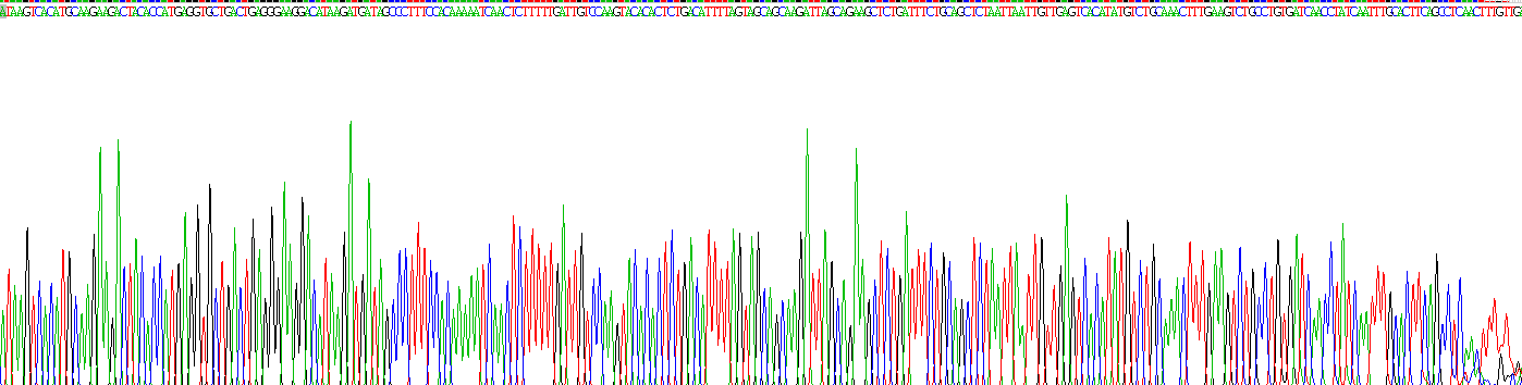 Figure . Gene Sequencing (extract)