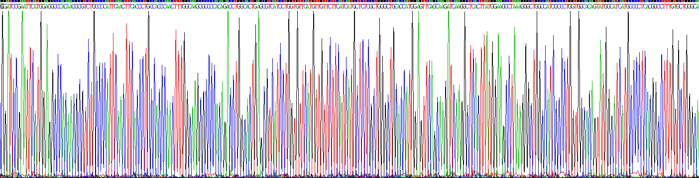 Figure . Gene Sequencing (extract)