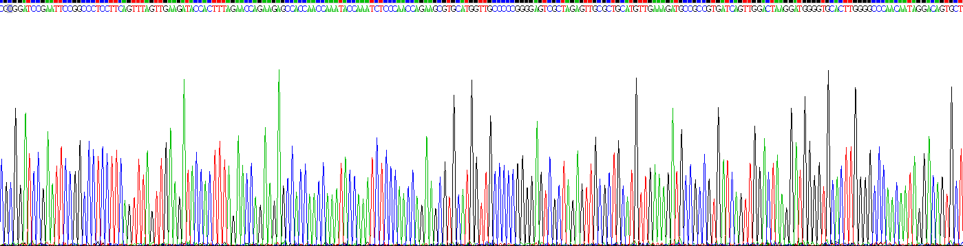 Figure . Gene Sequencing (extract)